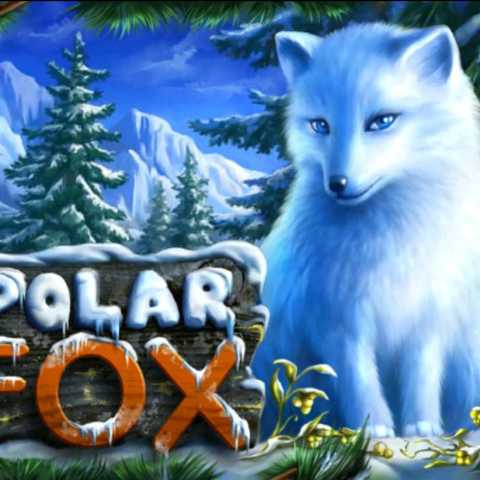 Очаровательная Polar Fox