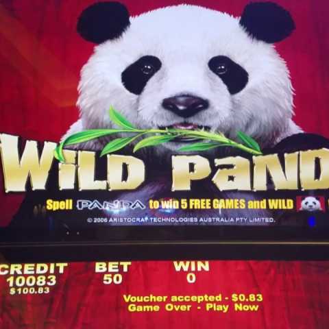 «Wild Panda» новый игровой автомат на рынке