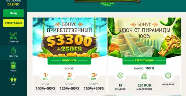 Netgame casino: Бонусы