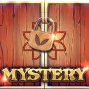 12 Coins Grand Platinum Edition: Mystery