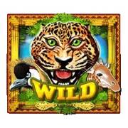 Africa Gold: Wild