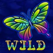 Beauty Fairy: Wild