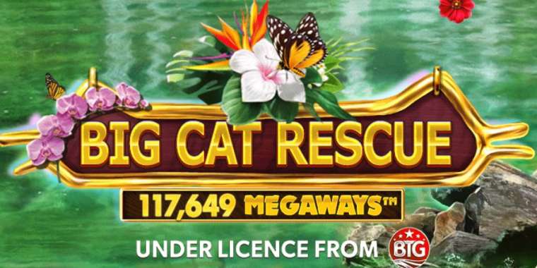 Слот Big Cat Rescue Megaways играть бесплатно