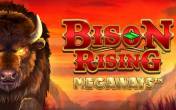 Bison Rising Megaways  NZ (logo)