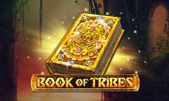 Онлайн слот Book of Tribes играть