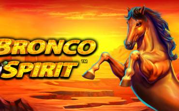 Игровой автомат Bronco Spirit