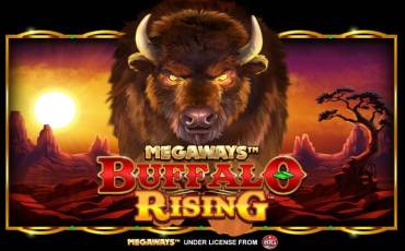 Buffalo Rising Megaways All Action