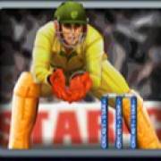 Cricket Star: Игрок в желтой форме