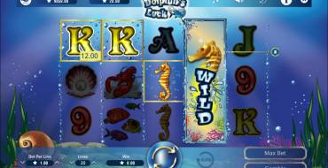 Dolphin’s Luck: Wild Reel