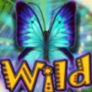 Flutter Pays!: Wild