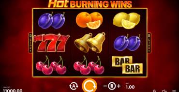 Hot Burning Wins: Игровой автомат