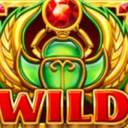 Kemet`s Treasures: Wild