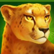 Lion Gems: Hold and Win: Пума