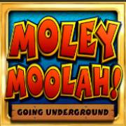 Moley Moolah: Логотип