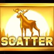 Money Moose: Scatter