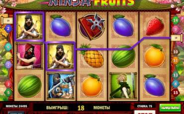 Ninja Fruits