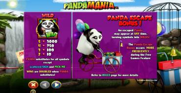 Panda Mania: Правила