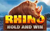 Автомат Rhino Hold and Win (демо-версия)