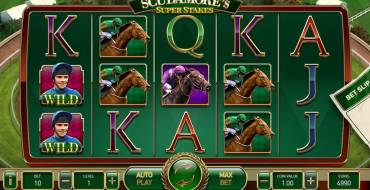 Scudamore’s Super Stakes: Дизайн