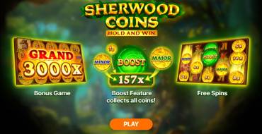 Sherwood Coins: Hold and Win: Уникальные функции