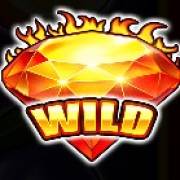 Shining Hot 40: Wild