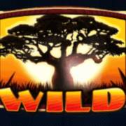 Silver Lion Feature Ball: Wild