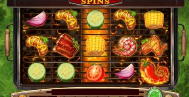 Sizzling Spins: Интерфейс