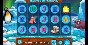 Snow Antarctic: Игровой автомат