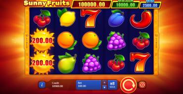 Sunny Fruits: Hold and Win: Игровой автомат