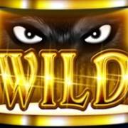 Tales of Darkness: Full Moon: Wild