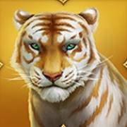 Tiger Tiger: Тигрица