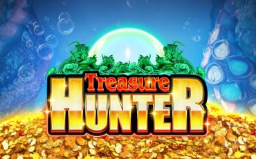 Игровой автомат Treasure Hunter