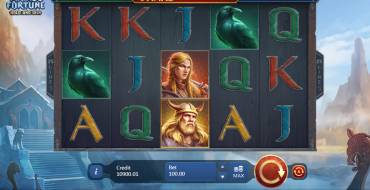 Viking Fortune: Hold and Win: Дизайн