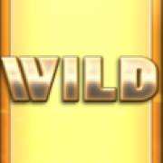 Wheel of Fortune Megaways: Wild