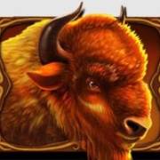 Wild Bison Charge: Символ Бизона