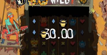 Wild One: Выигрыши