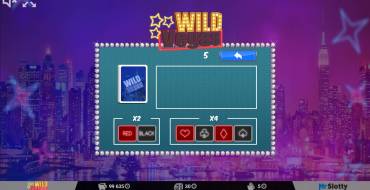 Wild Vegas: Дополнительная функция