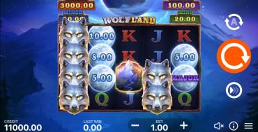 Wolf Land: Hold and Win: Игровой автомат