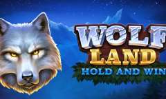 Онлайн слот Wolf Land: Hold and Win играть