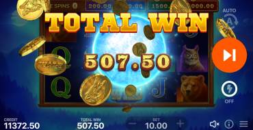 Wolf Power: Hold and Win: Выигрыши