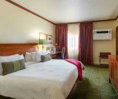 Grand Palm Casino: Junior Suite