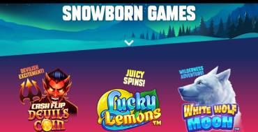 Snowborn Games: Сайт